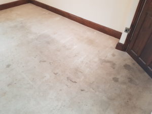 End of tenancy commercial carpet cleaning Doncaster