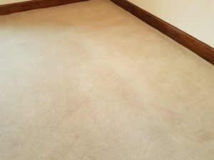 End of tenancy commercial carpet cleaning Doncaster After